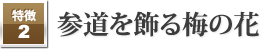 参道を飾る梅の花