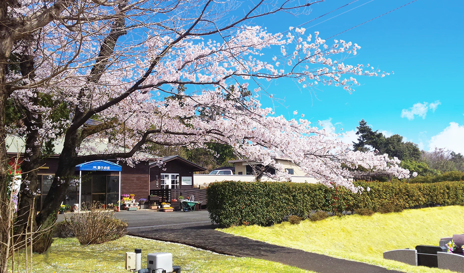 四季を感じる彩り豊かなガーデニング霊園